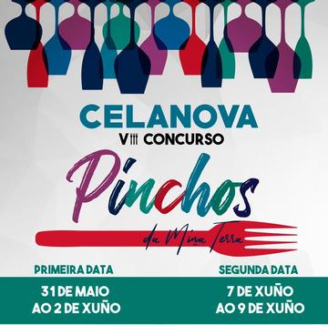 VIII PINCHOS DA MIÑA TERRA Celanova