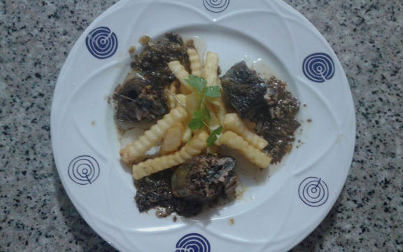 tapa